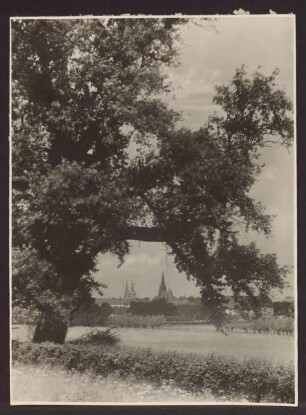 Blick auf Detmolds Türme, aufgenommen vom Kuhkamp. Detmold. Hornsche Straße