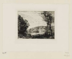 Bewaldete Landschaft