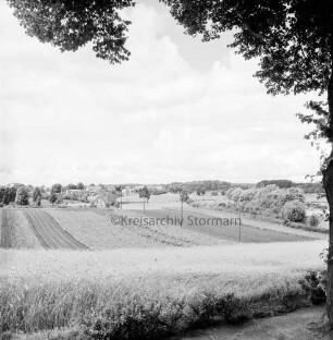 Am Hohenkamp: Blick über die Felder auf die Neubausiedlung: rechts und oben Baumäste