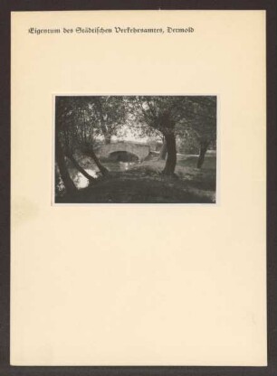 Brücke im Johannettentaler Kuhkamp mit Weiden im Vordergrund. Detmold. Kernstadt. Papierabzug