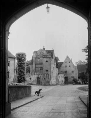 Straßenbild mit Schloss oder Herrenhaus und Hund. Blick aus einem Torbogen