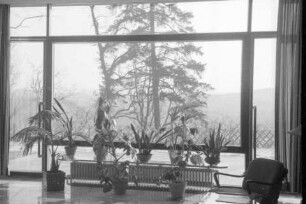 Homburg: Fenster im Schlosshotel