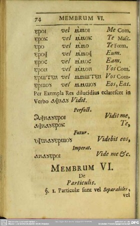 Membrum VI. De Particulis