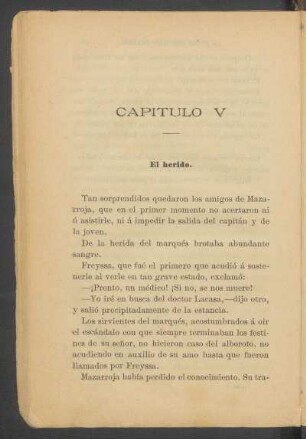 Capítulo V - El herido.