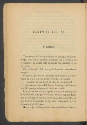 Capítulo V - El herido.