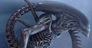 Alien vs. Predator