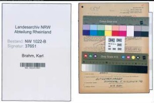 Entnazifizierung Karl Brahm , geb. 26.10.1900 (Maler)