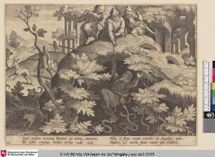 [Ein unerfahrener Jäger wird von Schlangen angegriffen; Unexperienced hunter attacked by snakes]