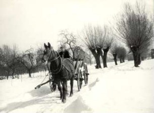 Pferdegespann im Spreewald : Transport und Kommunikation - Gespann. Ort: Błóta / Spreewald. Pferdegespann im Winter