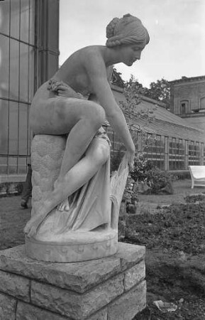 Aufstellung der Marmorplastik "Ährenleserin" des Bildhauers Karl Steinhäuser vor dem neuen Palmenhaus im Botanischen Garten.