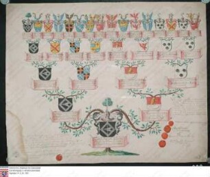 Ahnenprobe des Franz Joseph Nepomuk Schenk v. Schmidtburg. - ausgefertigt 1777 Februar 17, Pergament