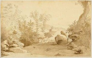 Landschaft mit Felsen und Bäumen