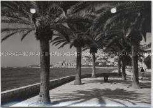 Menton
