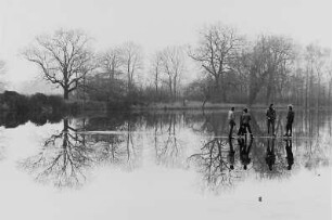 Im Wörlitzer Park