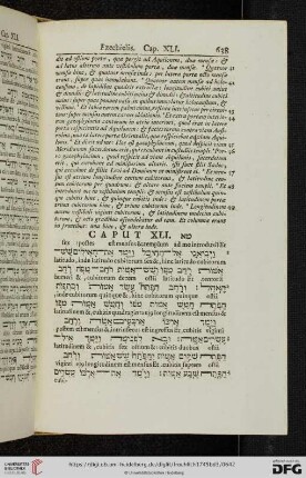 (Caput XLI - XLVIII)