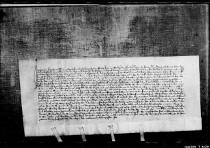 Ulrich der Schwelher, gesessen zu Tachenhausen, verspricht die Messe und Pfründe zu Wendlingen, die Ritter Kraft sel. von Lichteneck gestiftet hat, stiftungsgemäß zu erhalten.