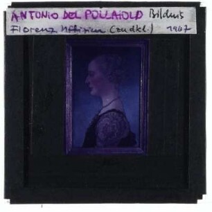 Pollaiuolo, Bildnis einer jungen Frau