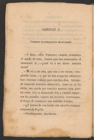 Capítulo X. - Terminan los preparativos de invernada.
