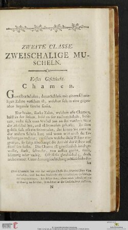 Zweite Classe: Zweischalige Muscheln