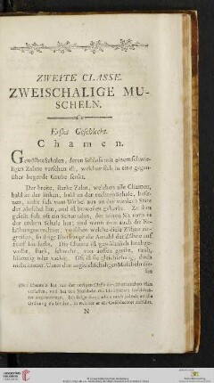Zweite Classe: Zweischalige Muscheln