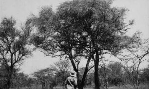Steppenbilder [Reise nach dem Sudan, Band 2]