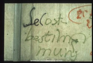 Sel | bst- bestim mung