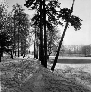 Schlosspark: im Winter: Spazierweg: rechts zugefrorener äußerer Schlossgraben: im Hintergrund Lübecker Straße, Brücke über Aue, Kastanienallee