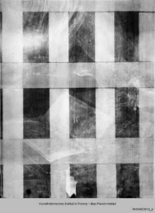 Büßende Magdalena - Röntgenaufnahme der Untermalung des sogenannten Selbstbildnisses Leonardo da Vincis