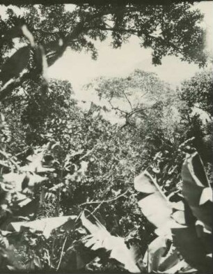 Hacienda am Rand des Rio Chamatals in Merida