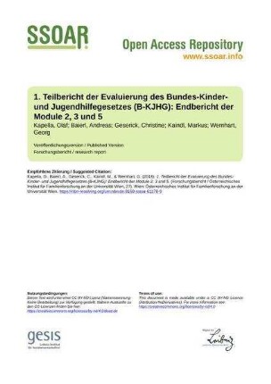 1. Teilbericht der Evaluierung des Bundes-Kinder- und Jugendhilfegesetzes (B-KJHG): Endbericht der Module 2, 3 und 5