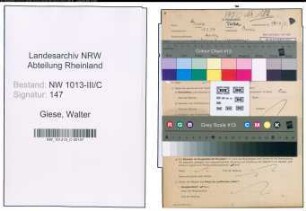 Entnazifizierung Walter Giese , geb. 10.03.1909 (Friseur)