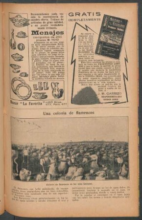 Una colonia de flamencos