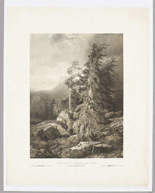 Souvenirs de la Scheidegg. Temps d’orage, Blatt 15 der Folge "Sites variés de paysages par Calame"