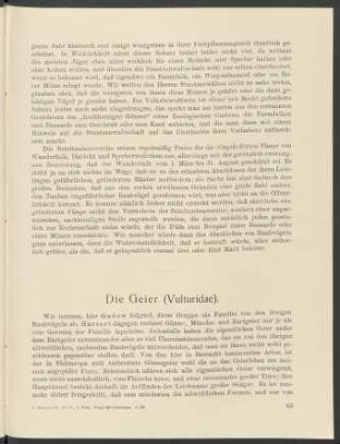 Die Geier (Vulturidae)