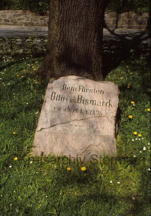 Bismarck-Gedenkstein vor Eiche: Inschrift "Dem Fürsten Otto von Bismarck errichtet 1.4.1895"