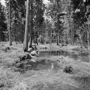 Johanngeorgenstadt, Binge : Johanngeorgenstadt. Binge an der Eisenstraße
