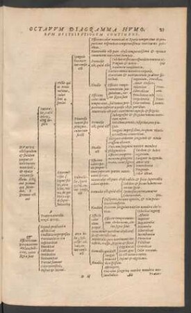 Octavum Diagramma Humorum Distributionem Continens.