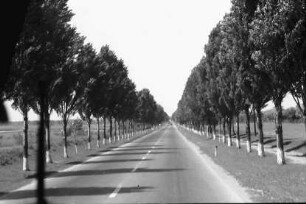 Konstanza [Constanta]: E 15
