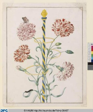 Vier Nelken in einem gelb-blauen Blumenhalter