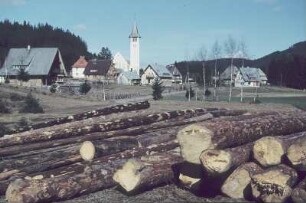 Hegau. Dorf, Ortsansicht mit Kirche