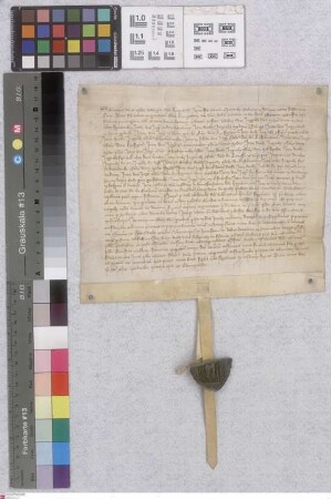 Lampertheim: Salmanni Episcopi Wormatiensis confirmatio dotationis et erectionis Altaris Sante Marie in parochiati ecclesia Lampertheim