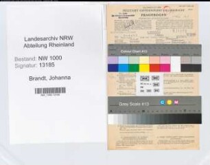 Entnazifizierung Johanna Brandt, geb. 10.05.1905 (Verwaltungsgehilfin)