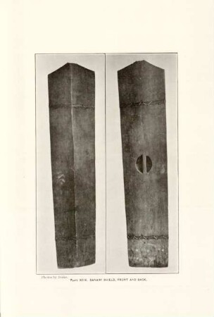 Plate XCIX. Banawi shield, front and back