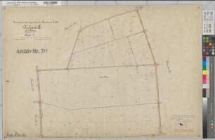 Epe, Gronau (Gronau), Alstätte (Ahaus), Wessum (Heek), Zusammenlegung des Amtsvenns, Bl.14 Urkarte II Epe Flur 30