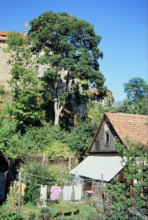 Blick Richtung Schloss über Hausgarten mit Wäsche