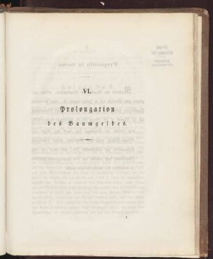 VI. Prolongation des Baumgeldes.