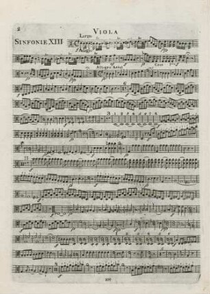 Viola