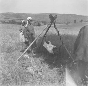 Anbaufeld : Frauen mit landwirtschaftlichen Gerten auf einem Anbaufeld.