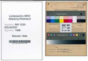 Entnazifizierung Hilde Reinold , geb. 13.06.1921 (Stenotypistin)