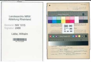 Entnazifizierung Wilhelm Liebe , geb. 02.10.1887 (Oberpostinspektor)